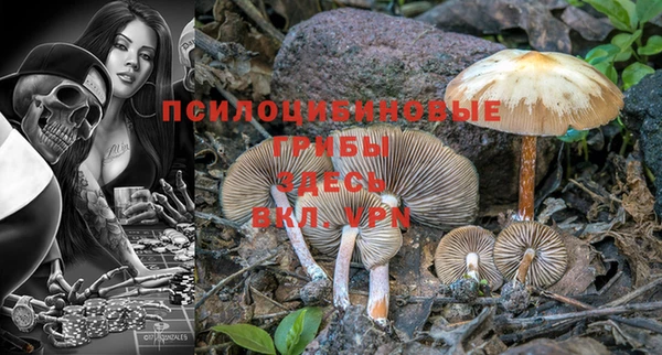 героин Ладушкин