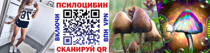 OMG как зайти Комсомольск-на-Амуре Псилоцибиновые грибы прущие грибы купить